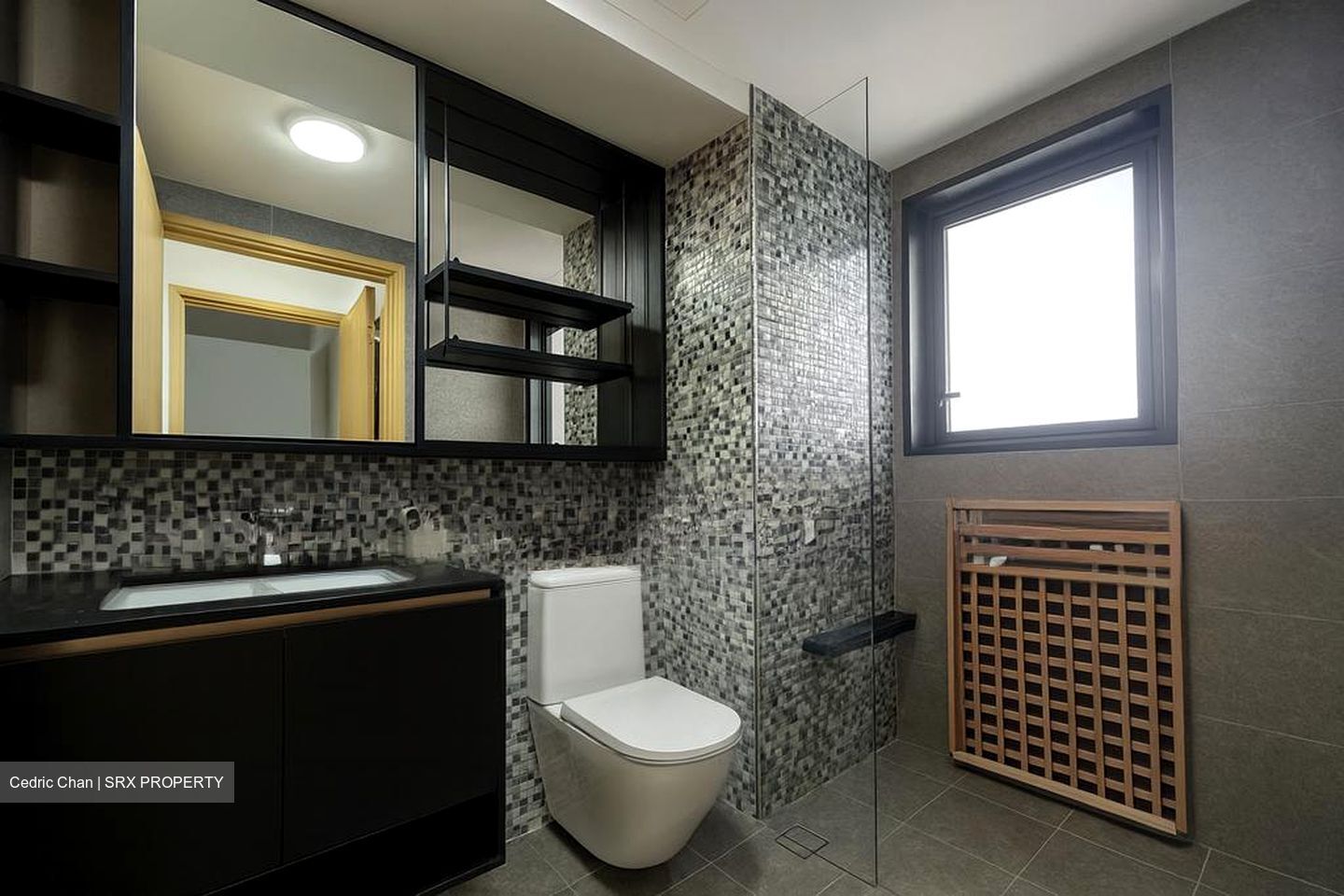 The Antares (D14), Apartment #496643991